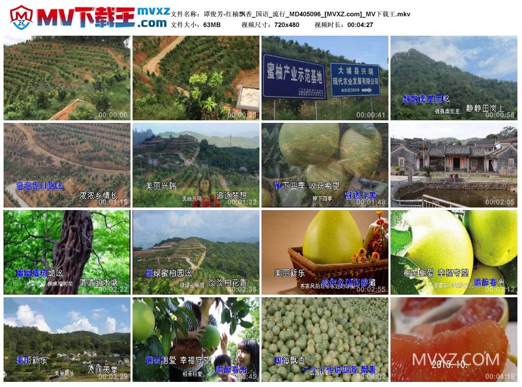 谭俊芳-红柚飘香_国语_流行_MD405096